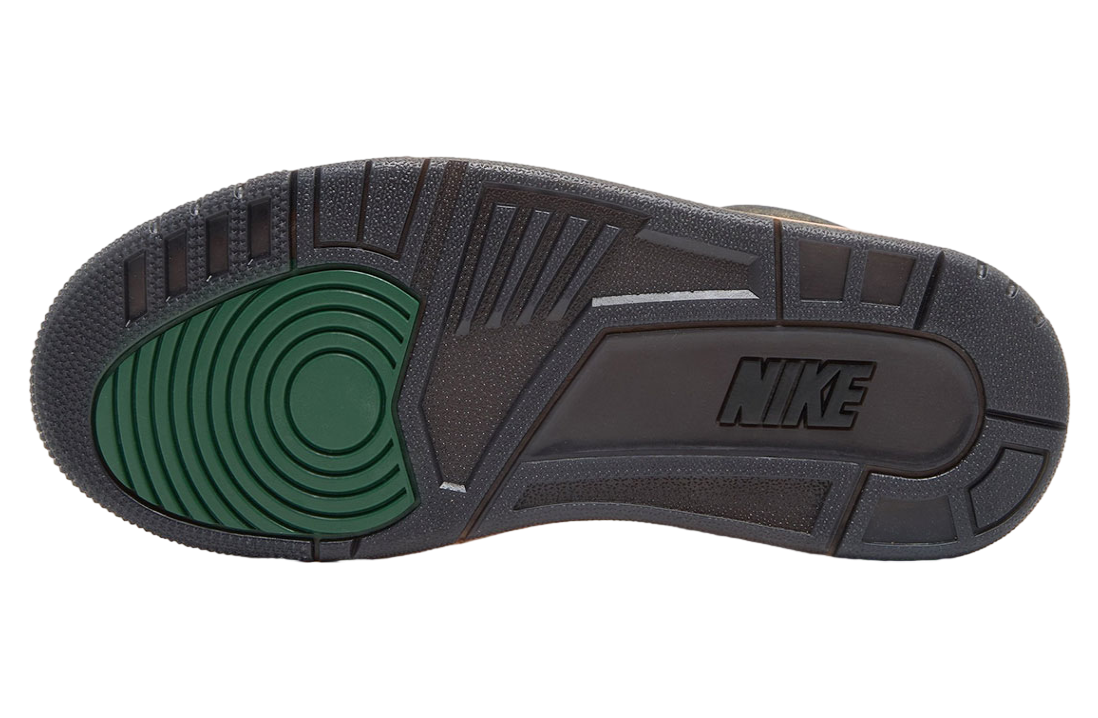 Air Jordan 3 Retro Not Nice