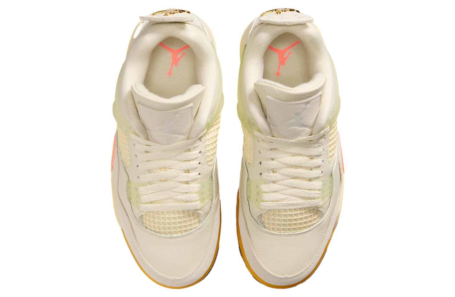 Air Jordan 4 Birds of Paradise WMNS