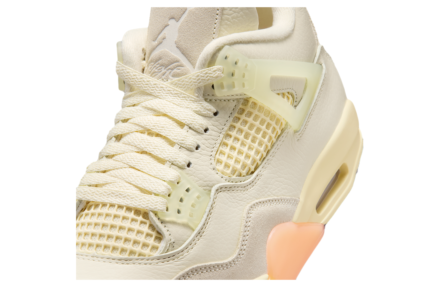 Air Jordan 4 Birds of Paradise WMNS
