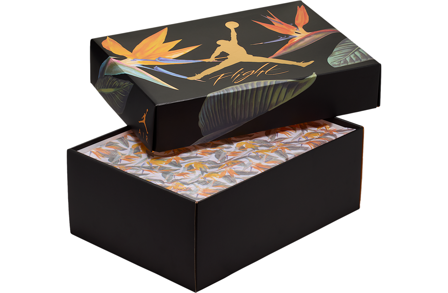 Air Jordan 4 Birds of Paradise WMNS
