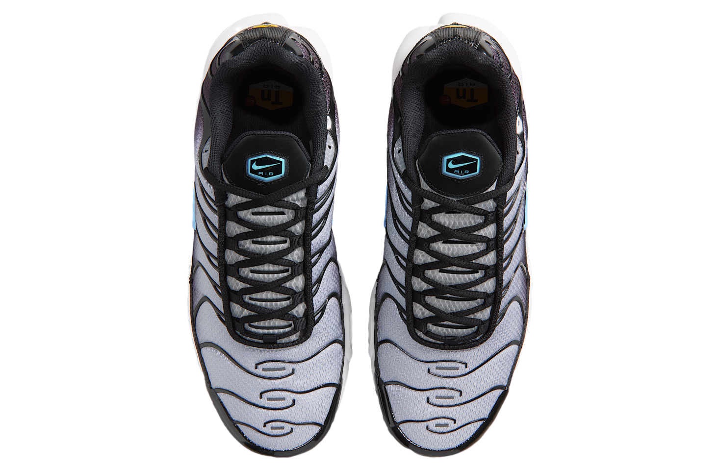 Nike Air Max Plus Black / Light Smoke Grey