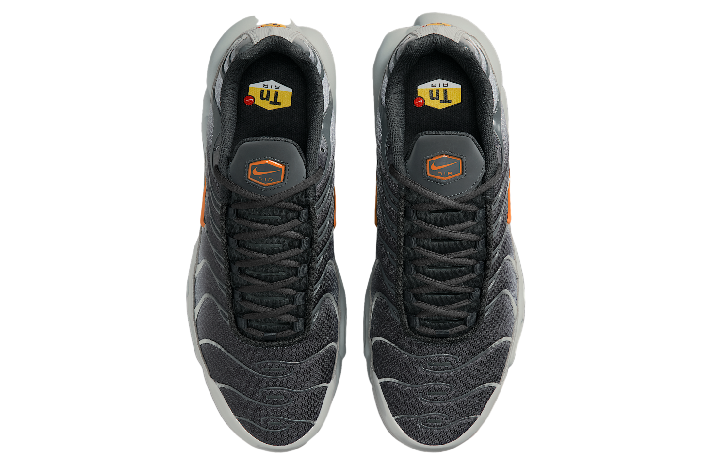 Nike Air Max Plus Light Smoke Grey / Dark Smoke Grey