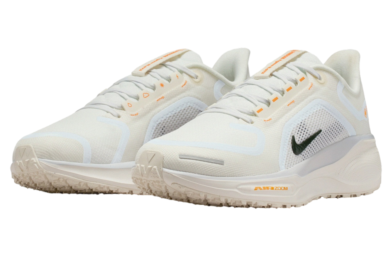 Nike Air ZM Pegasus 41 GTX WMNS Sail / Ashen Slate | KicksOnFire