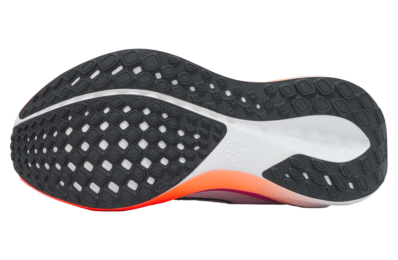 Nike Air Zoom Pegasus 41 WMNS White / Black