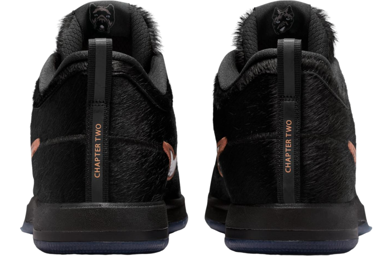Nike Book 2 Haven And Hector | Kixify
