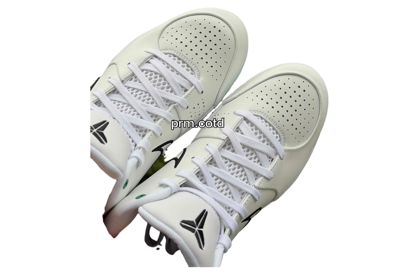 Nike Kobe 4 Protro Boston Celtics | Kixify