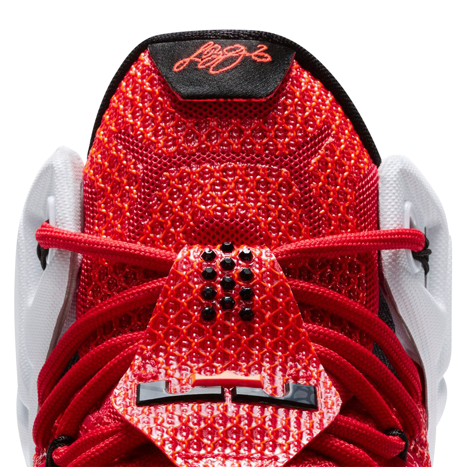 Nike LeBron 12 Heart of a Lion