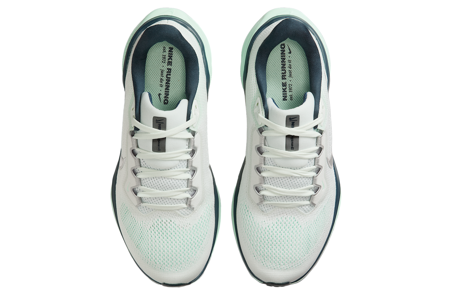 Nike Pegasus 41 WMNS Ghost Aqua / Mint Foam