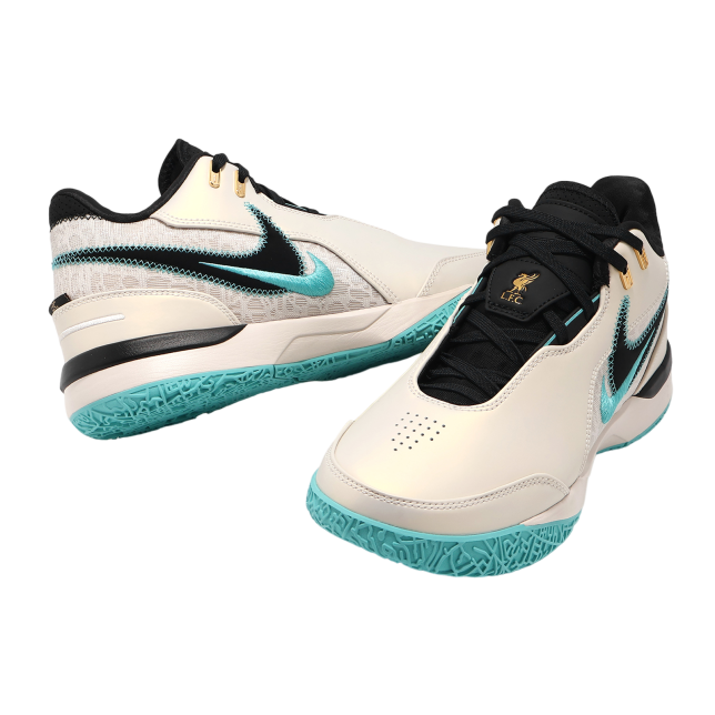Nike ZM LeBron NXXT Gen AMPD EP Light Orewood Brown / Washed Teal
