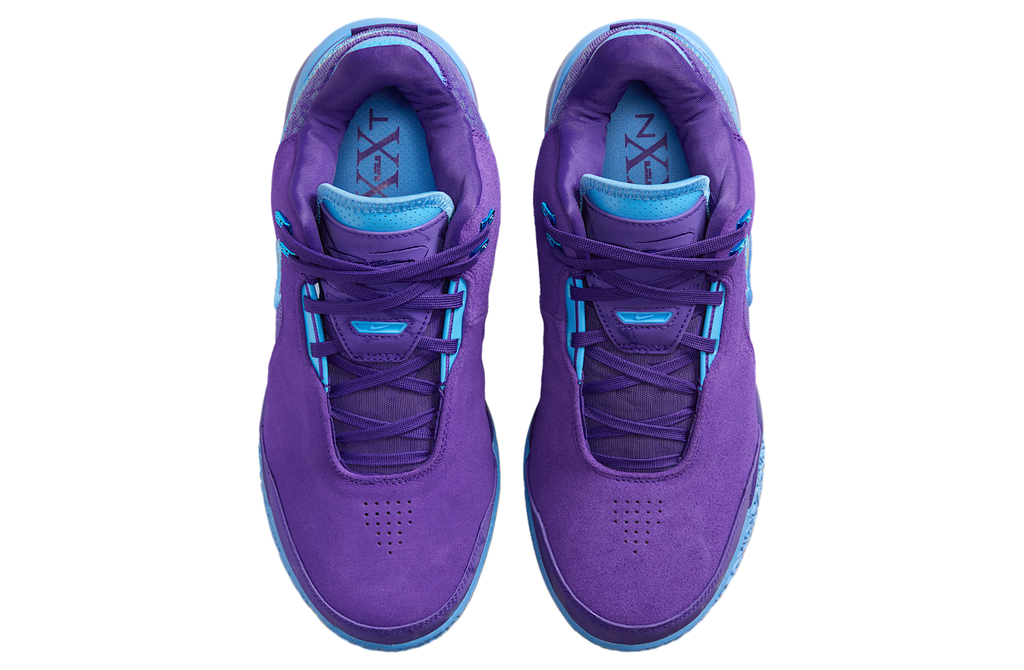 Nike ZM Lebron NXXT GEN AMPD Field Purple / Metallic Silver