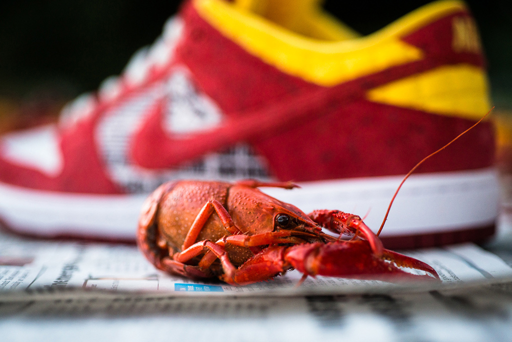Rukus x Nike SB Dunk Low Crawfish