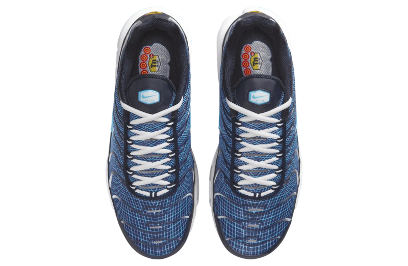 Nike Air Max Plus Dark Obsidian / Blue Chill - Jul 2025  display picture 3