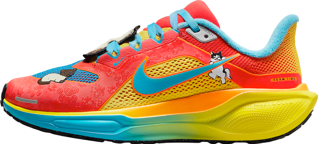 Nike Air Zoom Pegasus 41 Doernbecher - Jan 2025 - IB6096-920  display picture 1