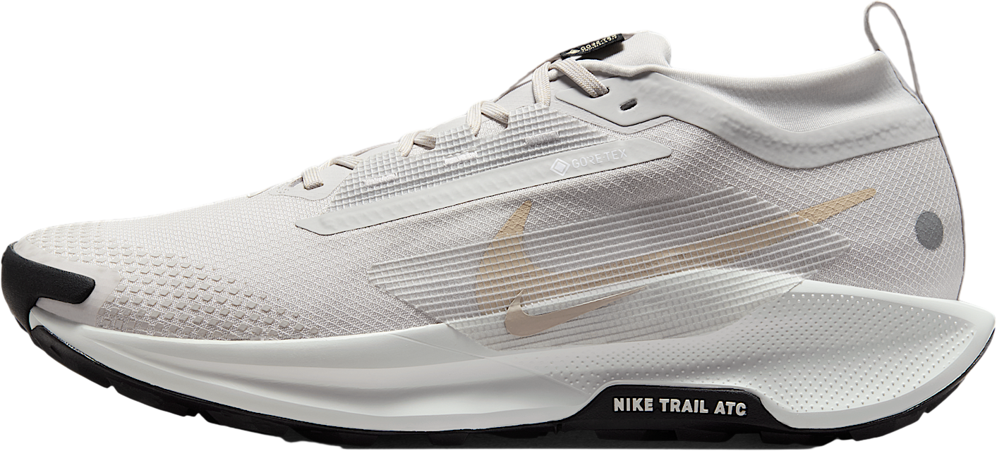 Nike Pegasus Trail 5 Gore-Tex Light Silver / Light Wild 
