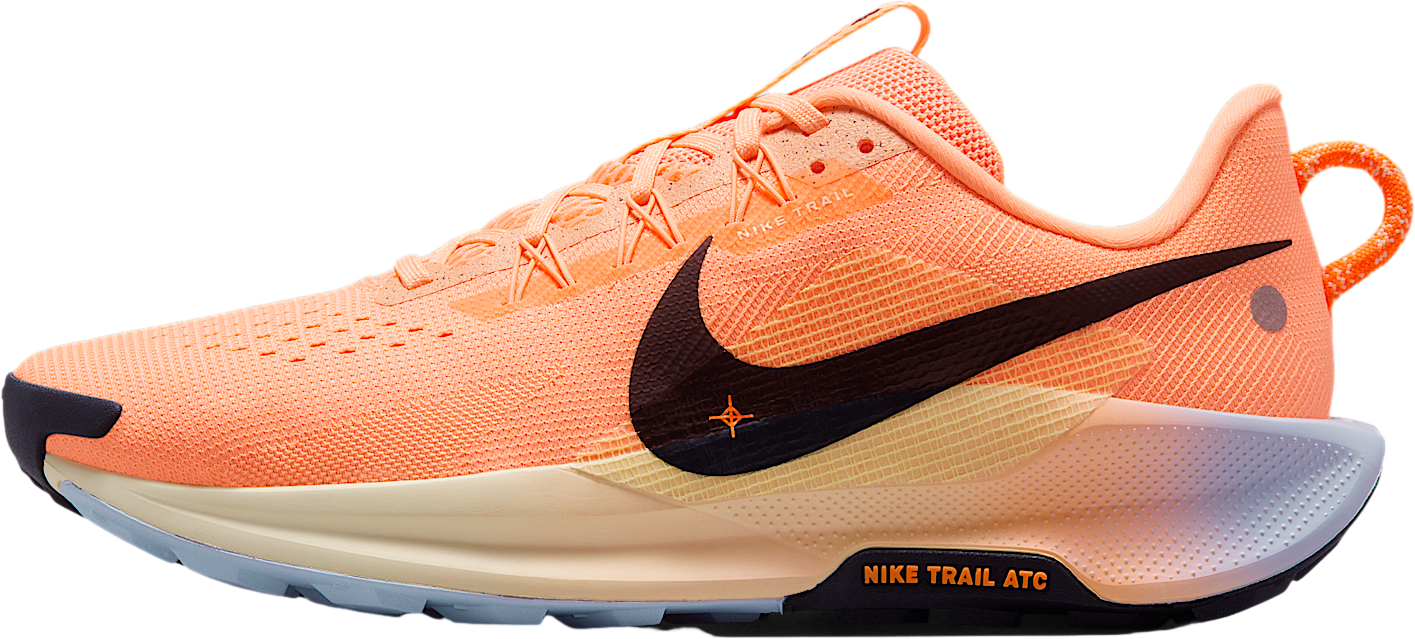 Nike Pegasus Trail 5 Summit White / Football Grey - Mar 2025 
