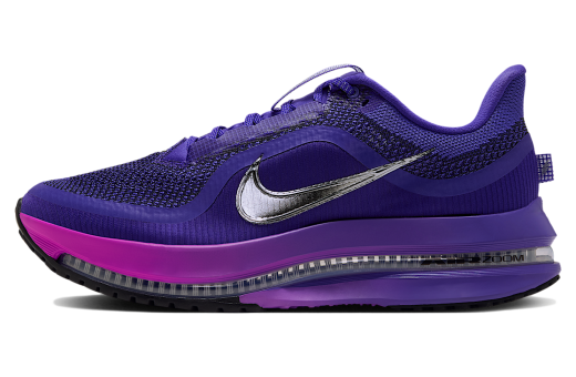 Nike Pegasus Premium Dark Concord / Hyper Grape